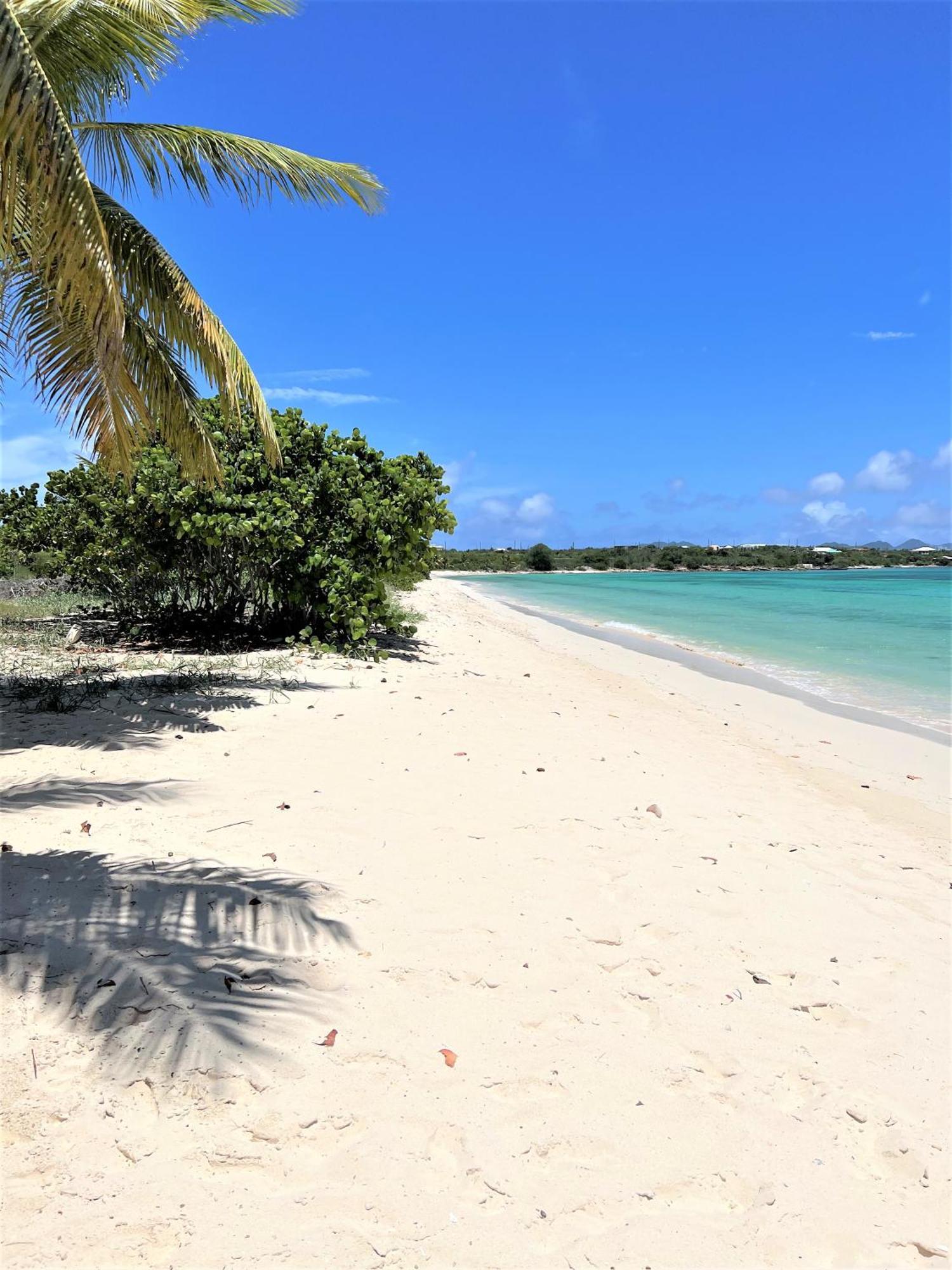 Rendezvous Bay Hotel Lower South Hill Esterno foto